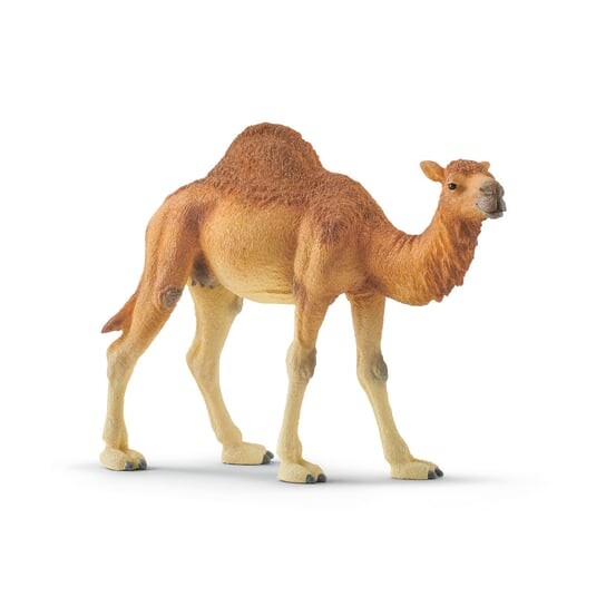 Schleich, статуэтка, Дромадер Верблюд, Коричневый, Schleich, статуэтка, Дромадер Верблюд
Schleich, статуэтка, Дромадер Верблюд, Коричневый, Schleich, статуэтка, Дромадер Верблюд