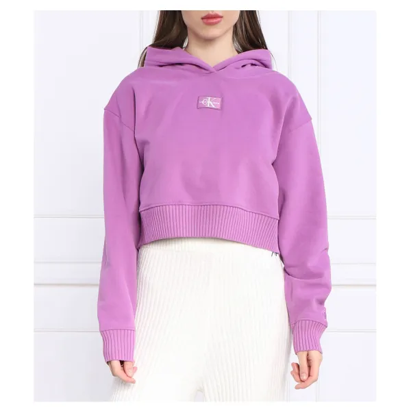 Укороченная толстовка с широкими рукавами и логотипом Badge Calvin Klein, фиолетовый
Укороченная толстовка с широкими рукавами и логотипом Badge Calvin Klein, фиолетовый