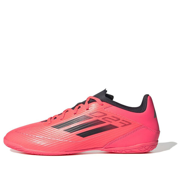 Кроссовки f50 club indoor boots 'pink black' Adidas, мультиколор, Черный, Кроссовки f50 club indoor boots 'pink black' Adidas, мультиколор
Кроссовки f50 club indoor boots 'pink black' Adidas, мультиколор, Черный, Кроссовки f50 club indoor boots 'pink black' Adidas, мультиколор