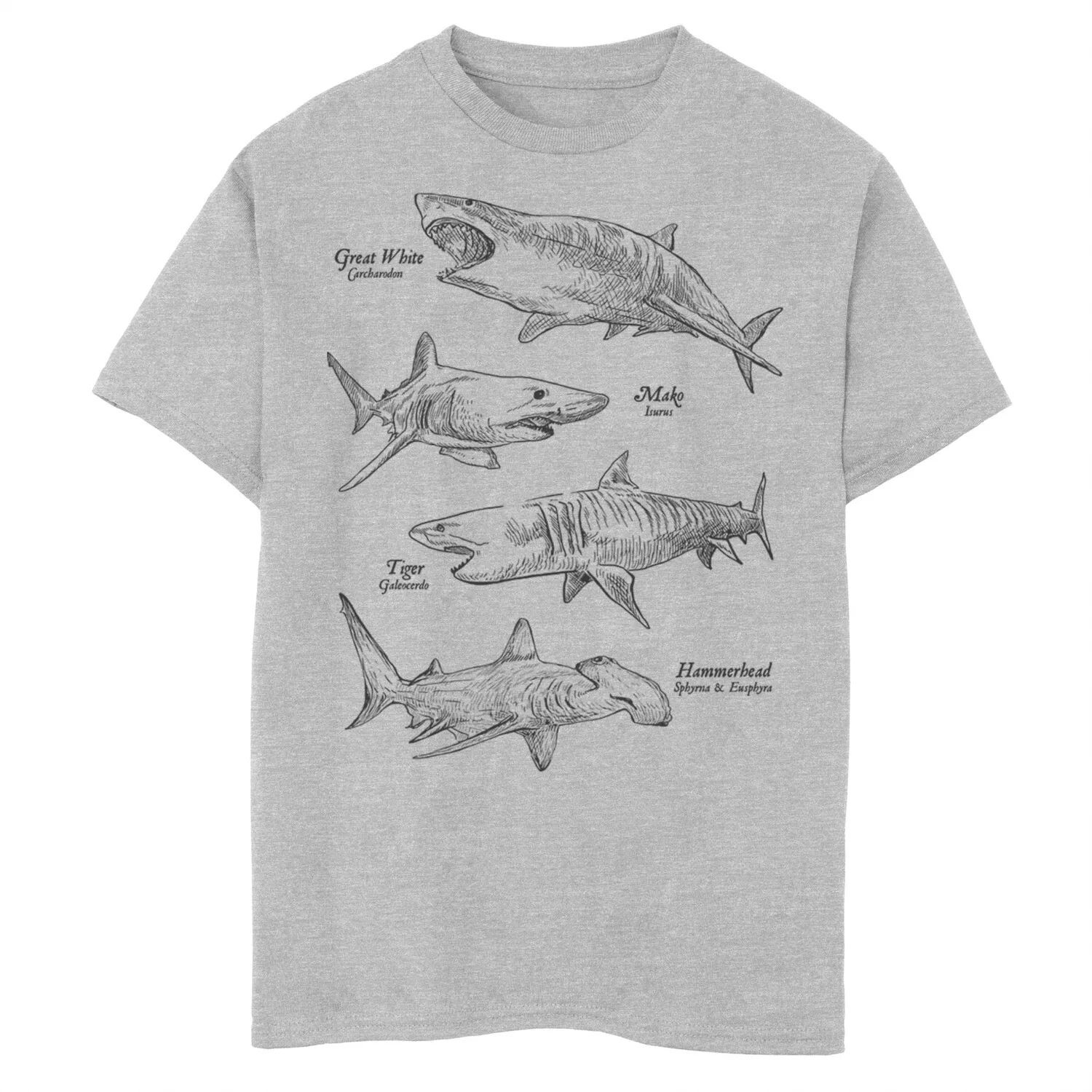 Простая футболка с рисунком животных для мальчиков 8–20 лет «Энциклопедия акул» Licensed Character
Простая футболка с рисунком животных для мальчиков 8–20 лет «Энциклопедия акул» Licensed Character