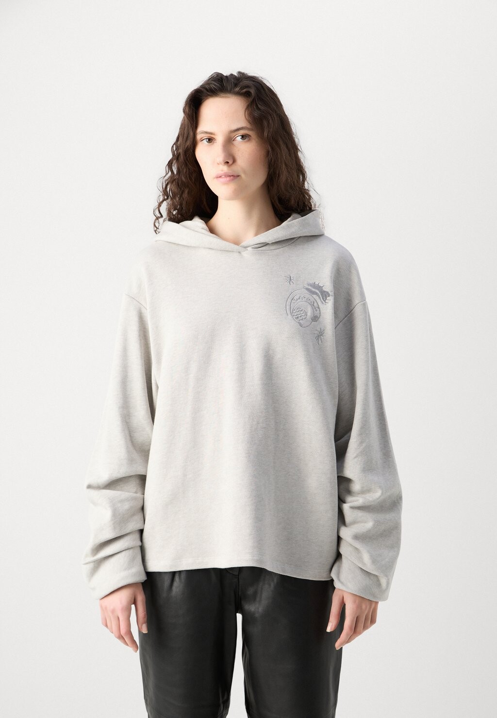 Толстовка с капюшоном GATHERED SLEEVE OVERSIZED FIT HOODIE Scotch & Soda, светло-серый
Толстовка с капюшоном GATHERED SLEEVE OVERSIZED FIT HOODIE Scotch & Soda, светло-серый
