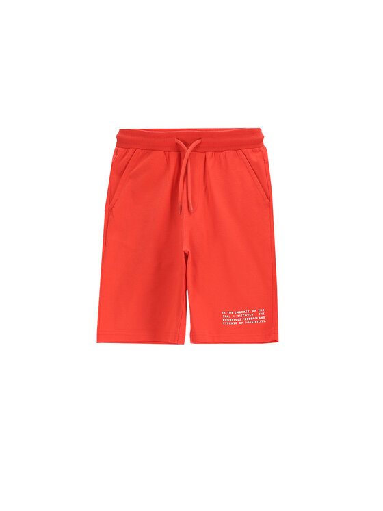 Спортивные шорты обычного кроя WC5121501VBC Coccodrillo, красный 
Спортивные шорты обычного кроя WC5121501VBC Coccodrillo, красный