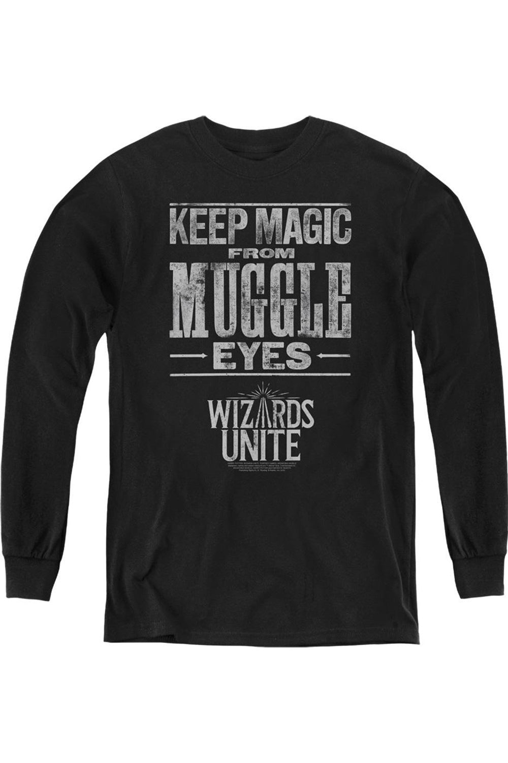 Толстовка с длинным рукавом Harry Potter Wizards Unite Hidden Magic Youth Gildan, черный
Толстовка с длинным рукавом Harry Potter Wizards Unite Hidden Magic Youth Gildan, черный