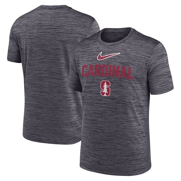 Мужская черная футболка Stanford Cardinal Campus Slant Velocity Performance Nike
Мужская черная футболка Stanford Cardinal Campus Slant Velocity Performance Nike