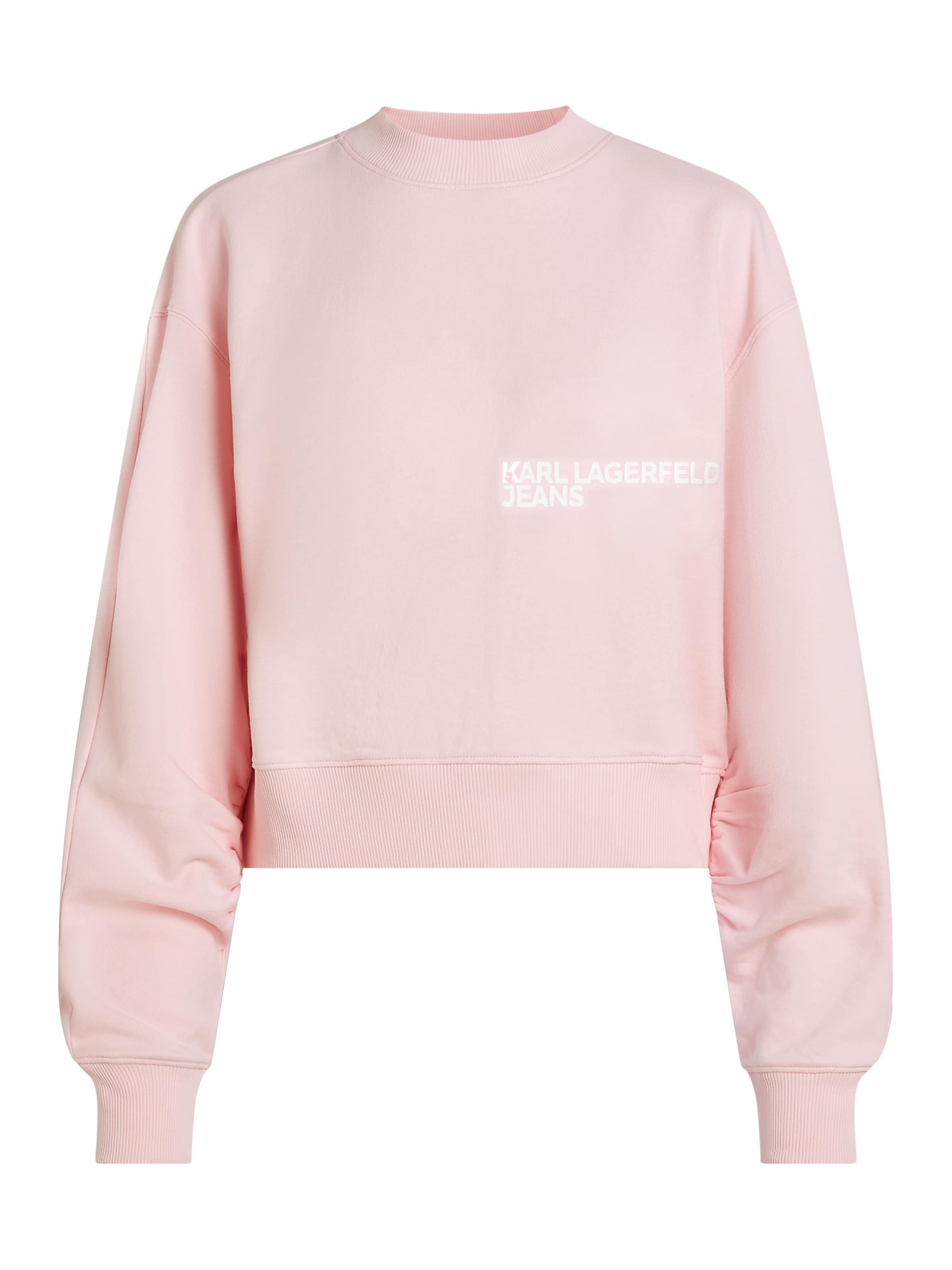 KARL LAGERFELD JEANS Свитшот в розовом цвете, Розовый, KARL LAGERFELD JEANS Свитшот в розовом цвете
KARL LAGERFELD JEANS Свитшот в розовом цвете, Розовый, KARL LAGERFELD JEANS Свитшот в розовом цвете