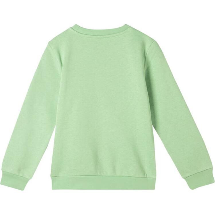 Толстовка PS Puma, светло-зеленый
Толстовка PS Puma, светло-зеленый