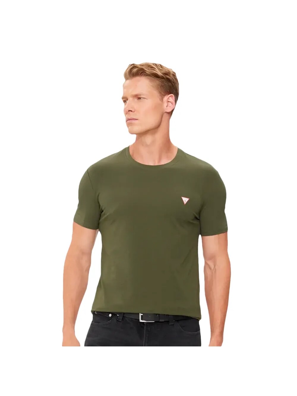 Футболка с треугольниками Guess, зеленый
Футболка с треугольниками Guess, зеленый