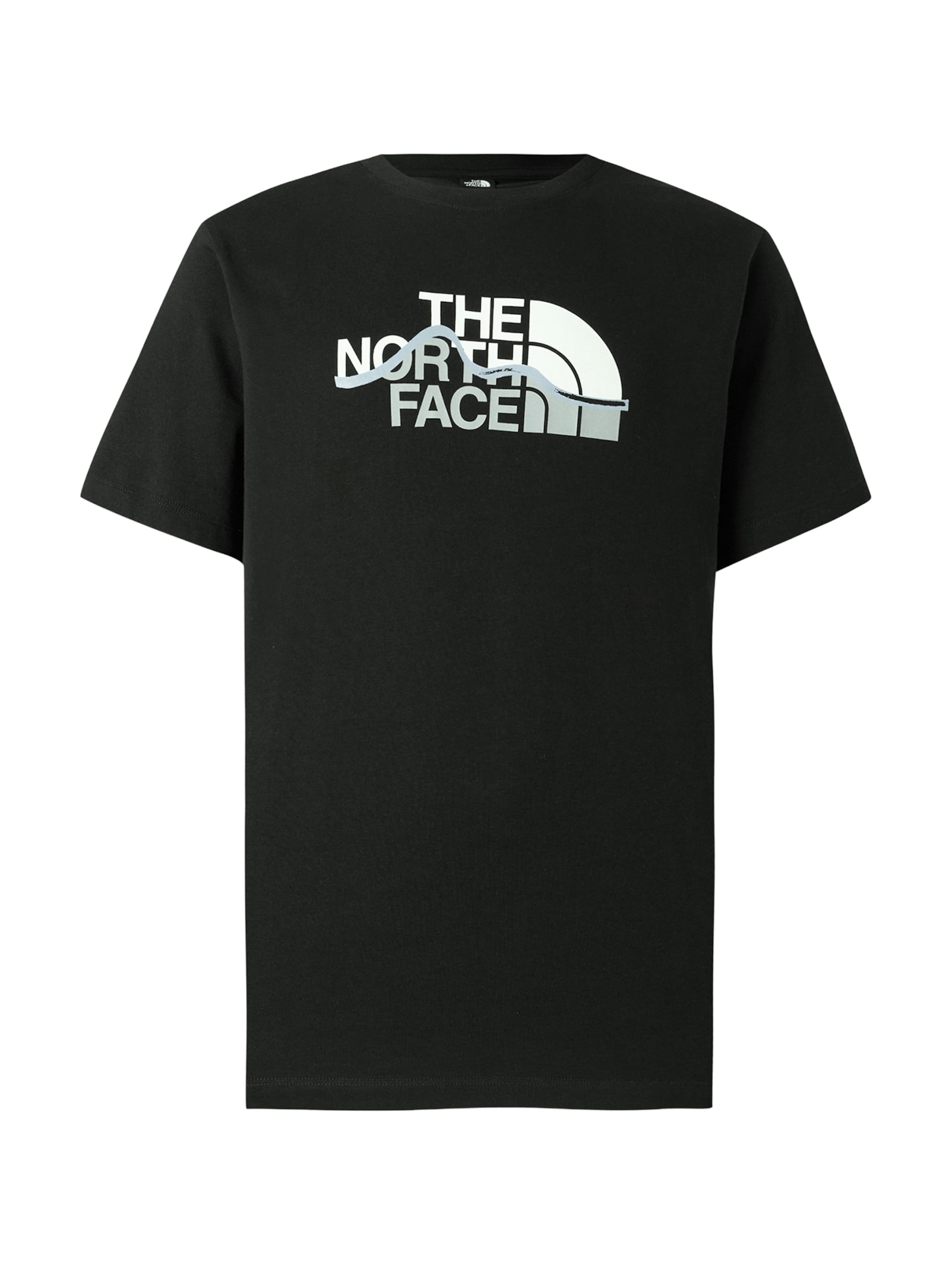 THE NORTH FACE Футболка 'Mountain Line' в черном цвете
THE NORTH FACE Футболка 'Mountain Line' в черном цвете