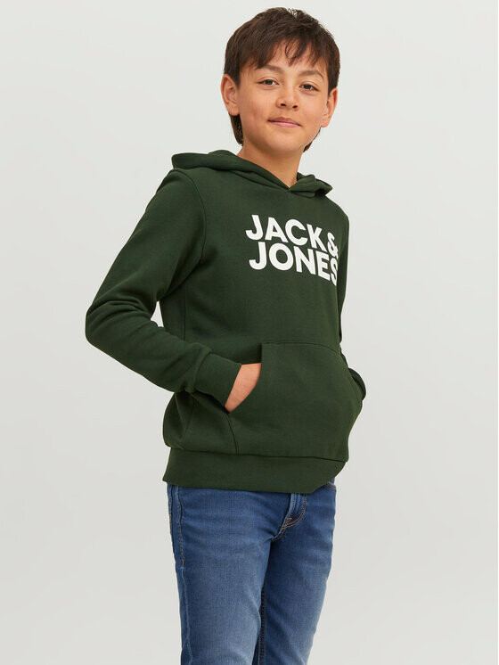 Толстовка обычного кроя Jack&Jones, зеленый 
Толстовка обычного кроя Jack&Jones, зеленый
