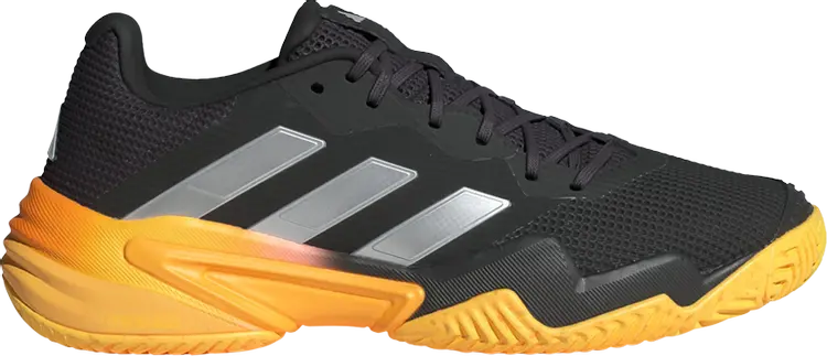 Кроссовки Barricade 13 'Aurora Black Spark', черный
Кроссовки Barricade 13 'Aurora Black Spark', черный