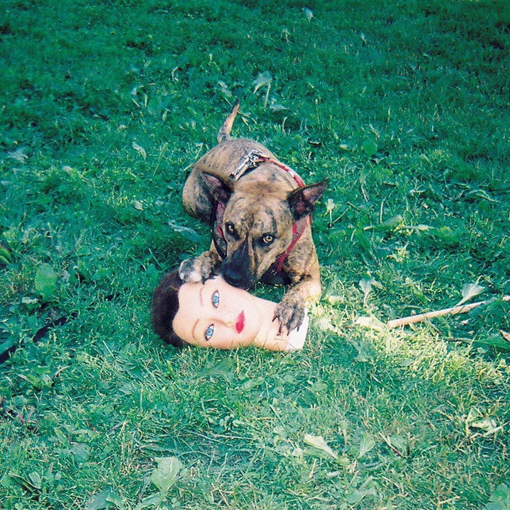 Виниловая пластинка LP Cody - Joyce Manor
Виниловая пластинка LP Cody - Joyce Manor