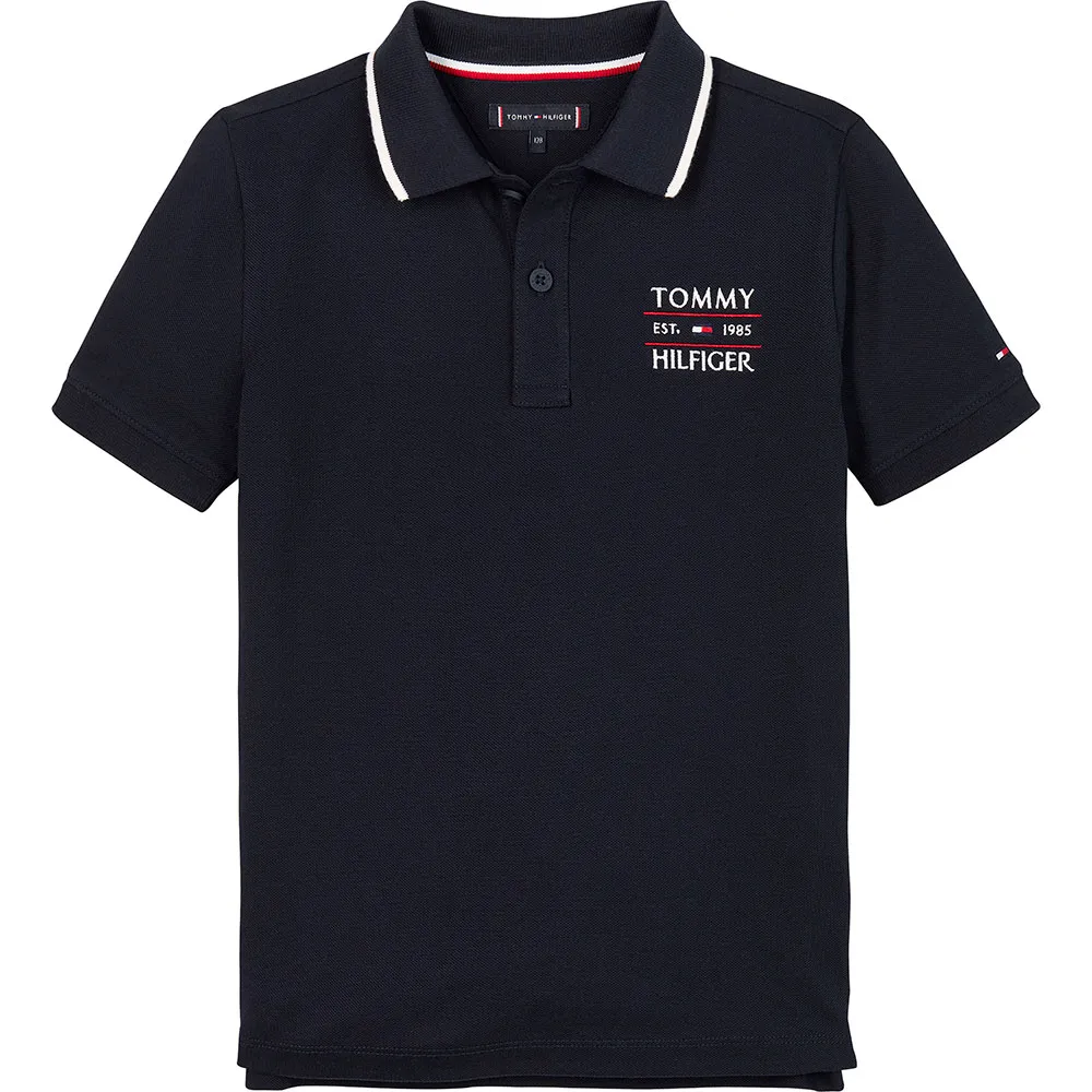 Поло с коротким рукавом Tommy Hilfiger Flag Regular Fit, синий
Поло с коротким рукавом Tommy Hilfiger Flag Regular Fit, синий