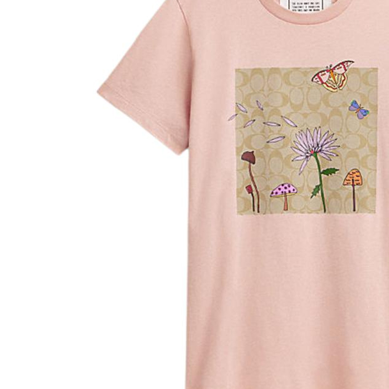 Футболка с цветочным принтом от COACH женская розовая
Футболка с цветочным принтом от COACH женская розовая