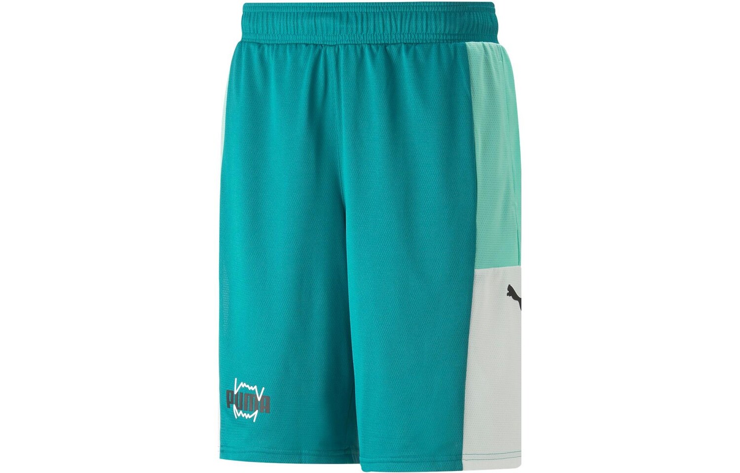 Спортивные шорты мужские зеленые Puma, зеленый
Спортивные шорты мужские зеленые Puma, зеленый