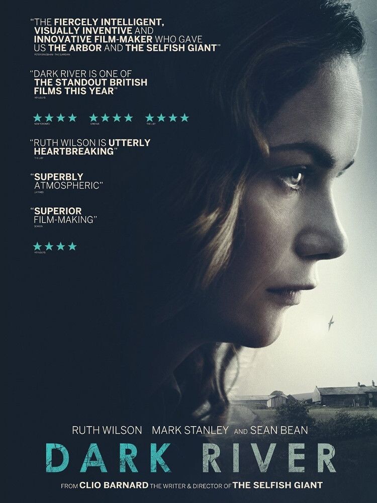 Диск DVD Dark River
Диск DVD Dark River