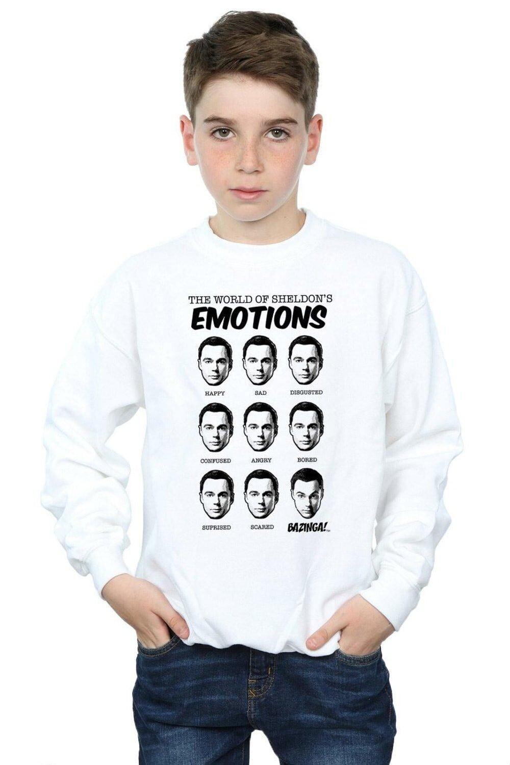 Толстовка Sheldon Emotions The Big Bang Theory, белый
Толстовка Sheldon Emotions The Big Bang Theory, белый