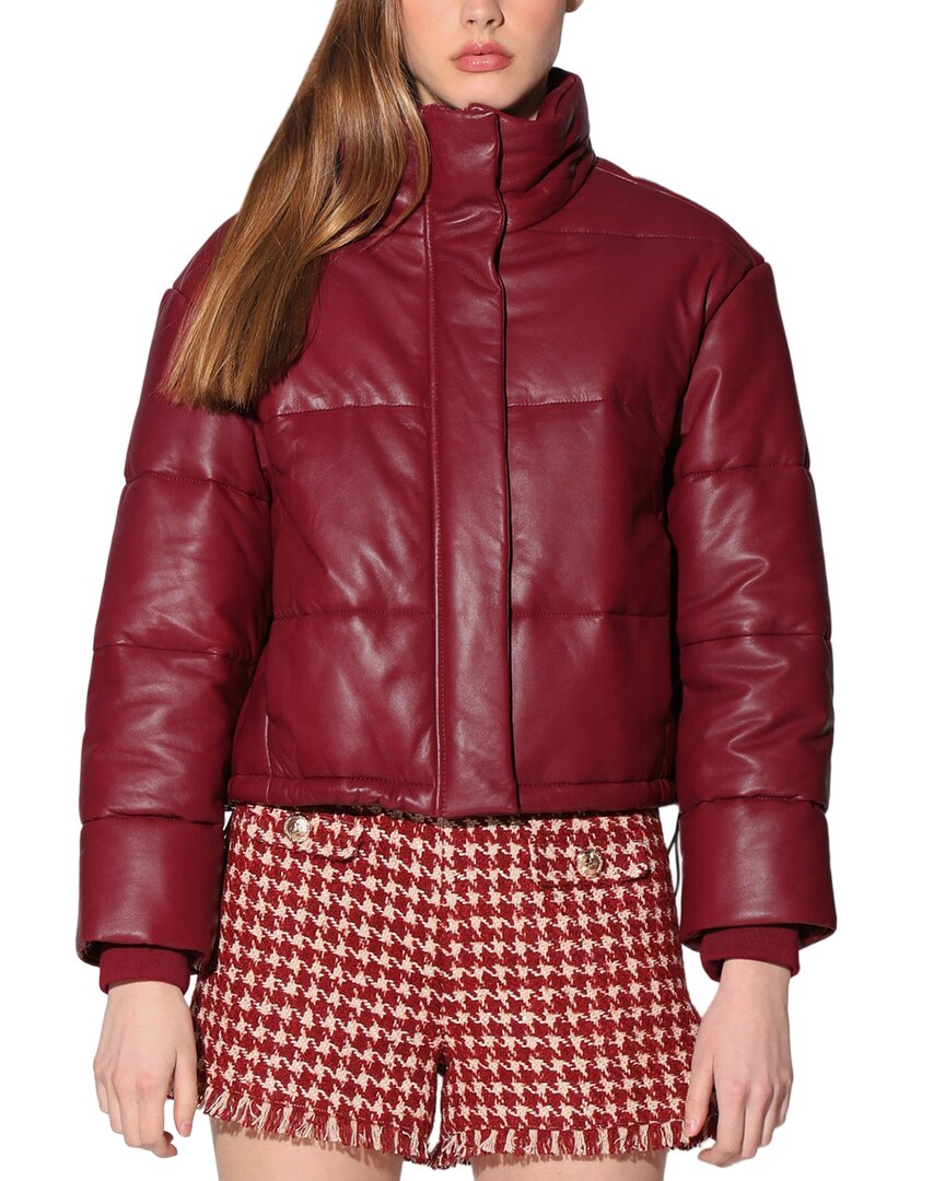 Кожаная куртка Уолтера Бейкера Джесси Walter Baker, Garnet
Кожаная куртка Уолтера Бейкера Джесси Walter Baker, Garnet