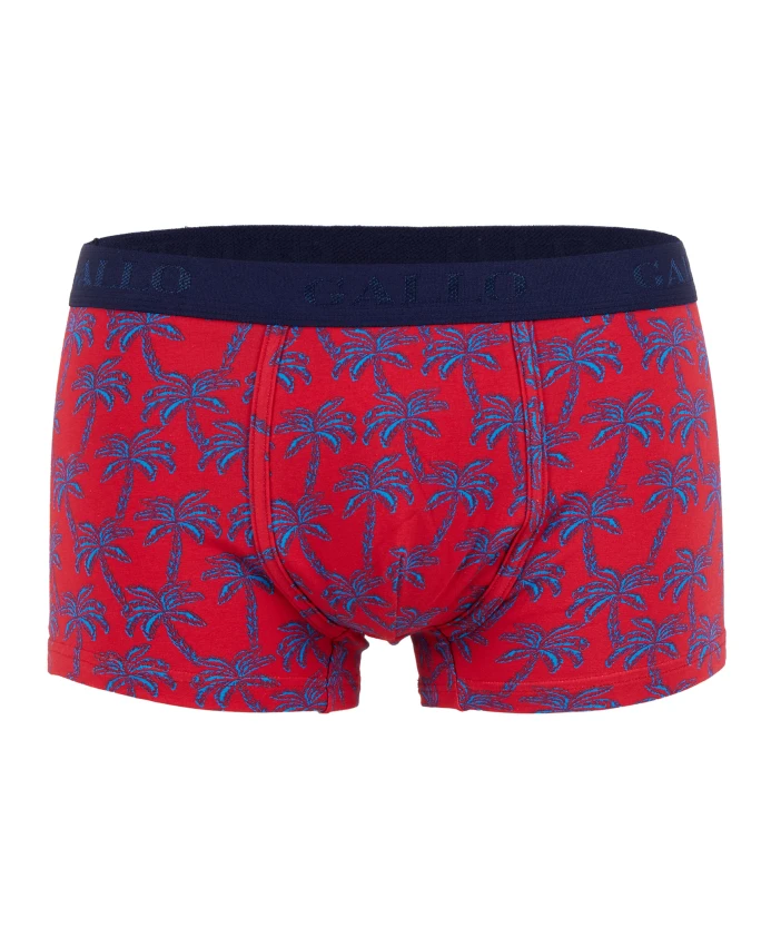Красные хлопковые боксерские шорты для мужчин с рисунком в виде пальмовых листьев. Gallo, мультиколор
Красные хлопковые боксерские шорты для мужчин с рисунком в виде пальмовых листьев. Gallo, мультиколор