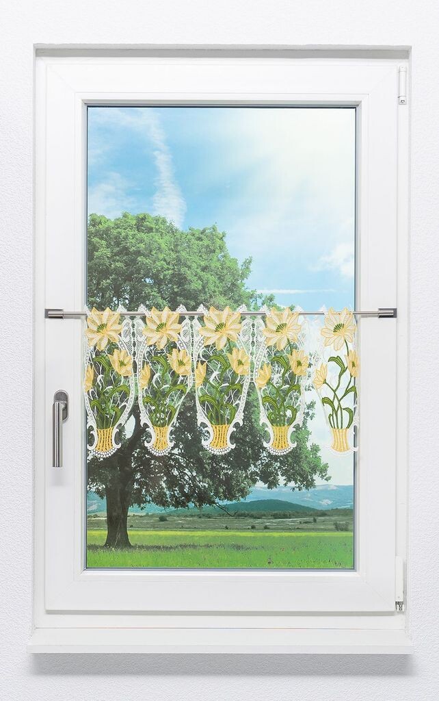 Панельная штора Plauener Spitze - цветочное великолепие (Ш х В) 115,50см * 30см * Желтый/пастельно-желтый
Панельная штора Plauener Spitze - цветочное великолепие (Ш х В) 115,50см * 30см * Желтый/пастельно-желтый