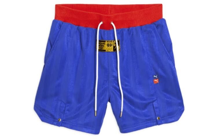 Puma Мужские баскетбольные шорты, цвет Sapphire blue
Puma Мужские баскетбольные шорты, цвет Sapphire blue