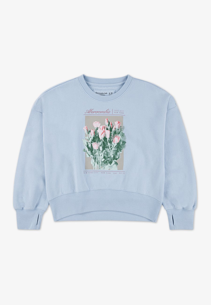Толстовка Abercrombie & Fitch CREW, Skyway/Light Blue
Толстовка Abercrombie & Fitch CREW, Skyway/Light Blue