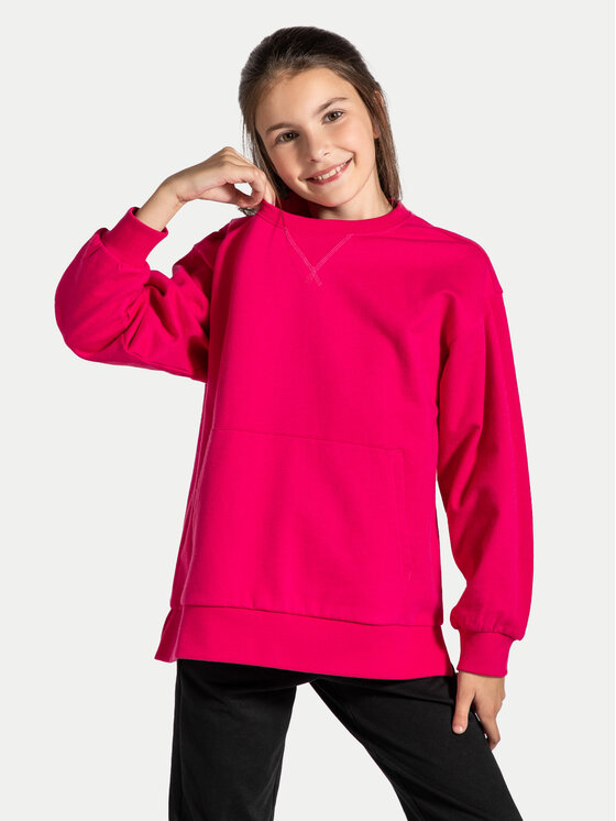 Свитшот regular fit ZC4132601VGA Coccodrillo, розовый
Свитшот regular fit ZC4132601VGA Coccodrillo, розовый