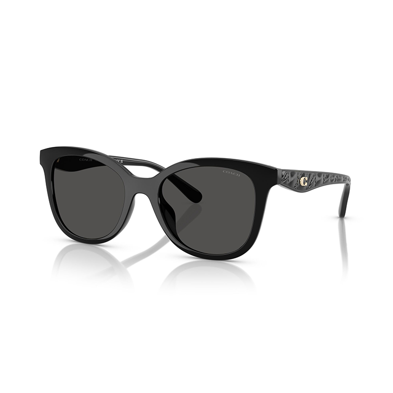COACH Солнечные очки с логотипом, Black Frame with Gray Lens
COACH Солнечные очки с логотипом, Black Frame with Gray Lens