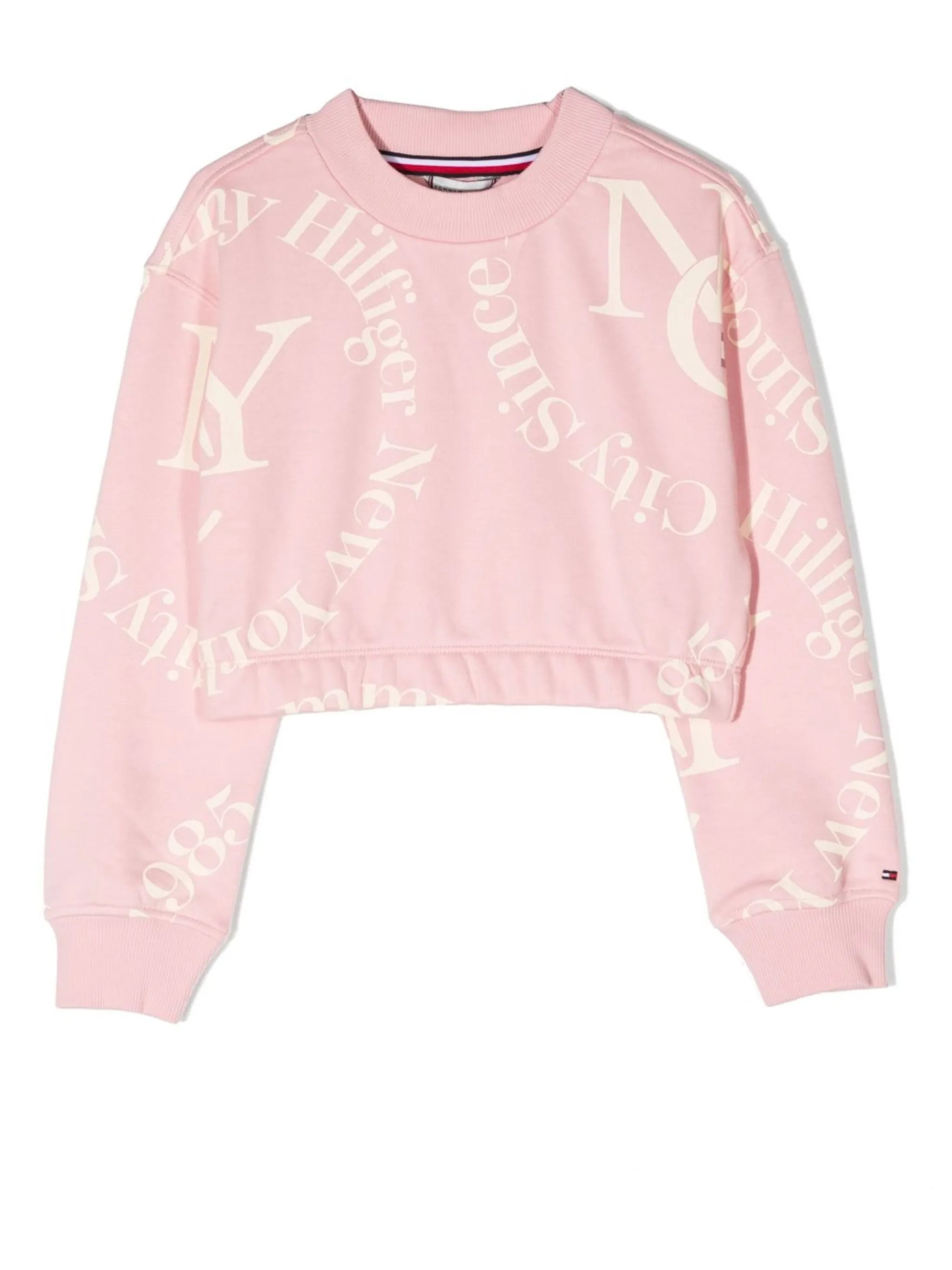 Толстовка с круглым вырезом и логотипом Tommy Hilfiger Junior, розовый
Толстовка с круглым вырезом и логотипом Tommy Hilfiger Junior, розовый