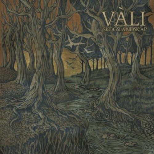 CD диск Vali: Skogslandskap
CD диск Vali: Skogslandskap