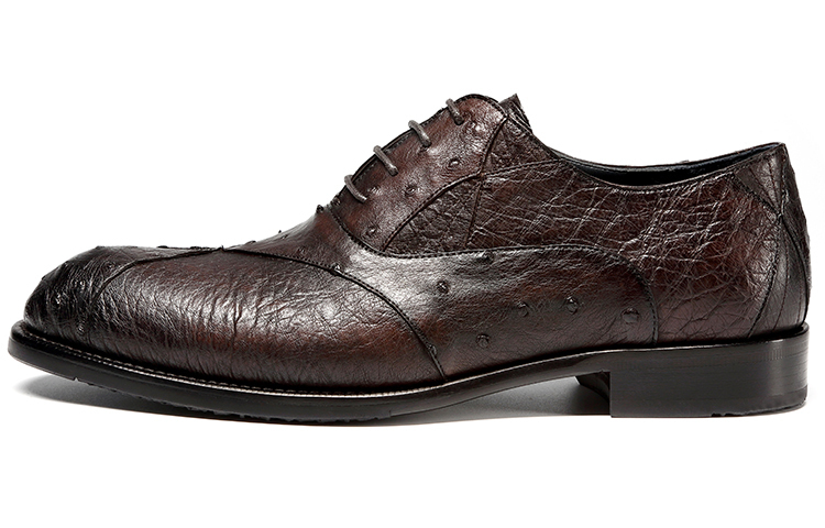 Satchi Мужские туфли Low top коричневые
Satchi Мужские туфли Low top коричневые