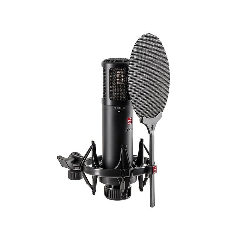 Студийный микрофон sE Electronics sE2300 Large Diaphragm Multipattern Condenser Microphone
Студийный микрофон sE Electronics sE2300 Large Diaphragm Multipattern Condenser Microphone