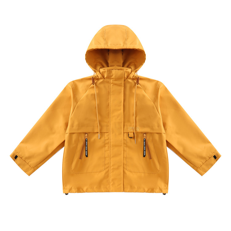 Детская одежда для улицы PROTECTCAMEL, желтый coat+liner
Детская одежда для улицы PROTECTCAMEL, желтый coat+liner