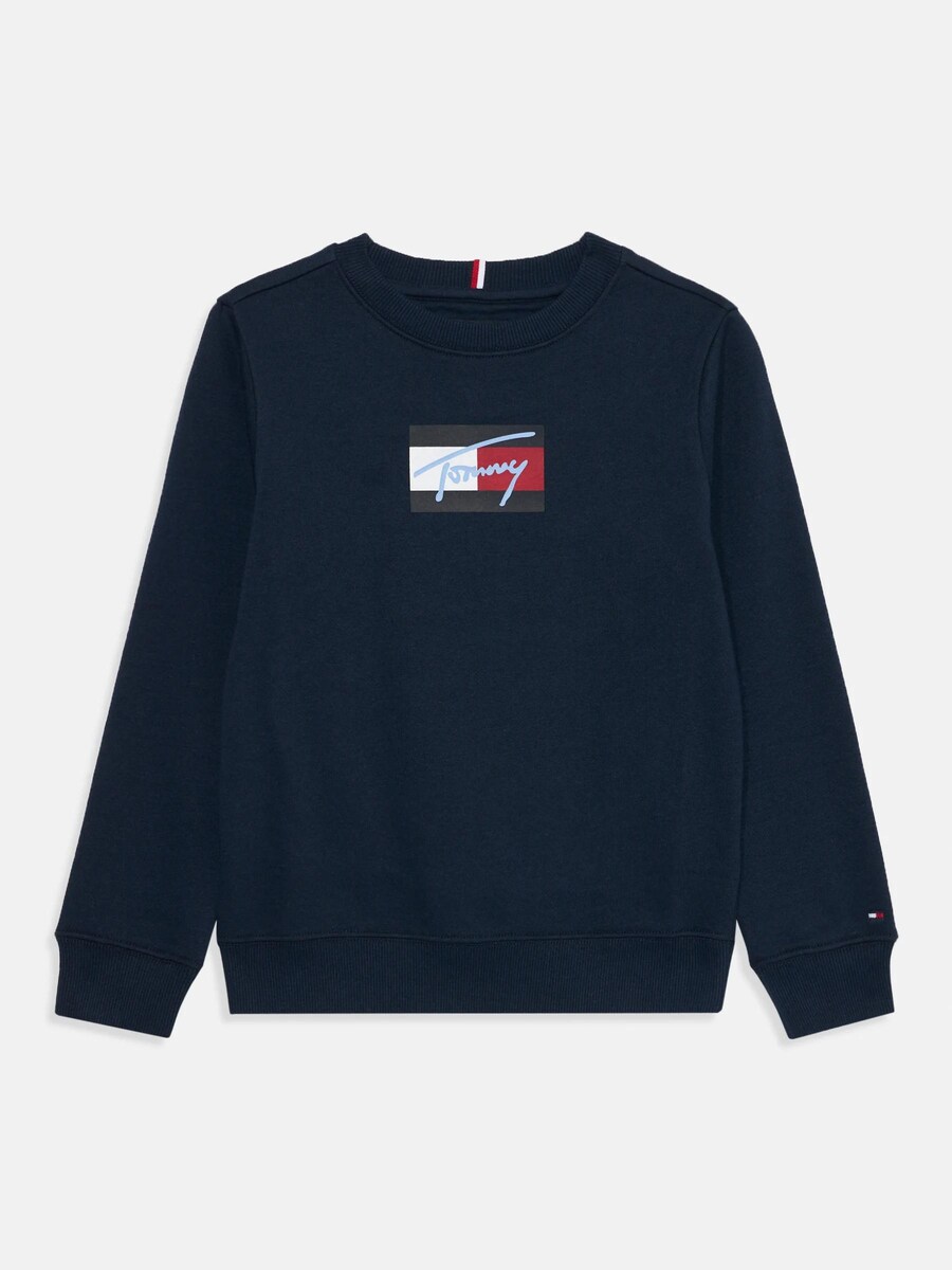 Толстовка TOMMY HILFIGER Script Flag Sweat Junior, темно-синий
Толстовка TOMMY HILFIGER Script Flag Sweat Junior, темно-синий