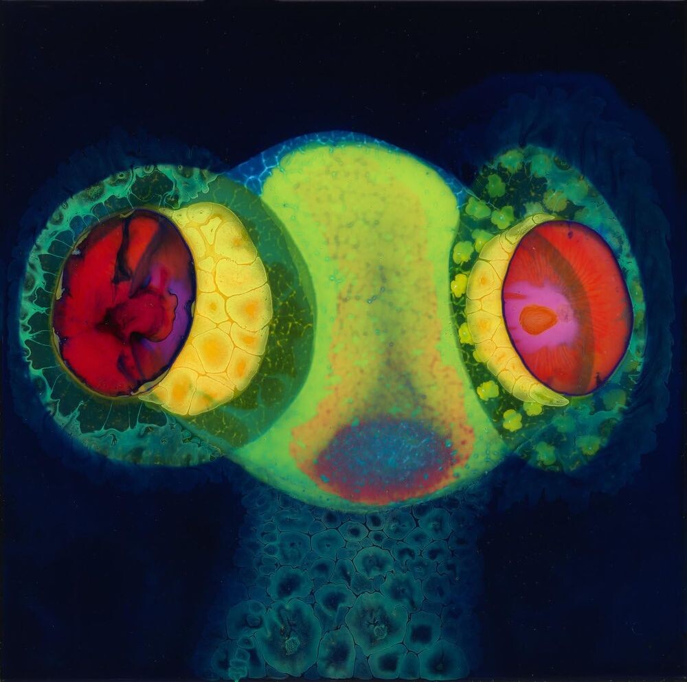 Виниловая пластинка LP SORCS 80 (Upcoming Release) - OSEES
Виниловая пластинка LP SORCS 80 (Upcoming Release) - OSEES