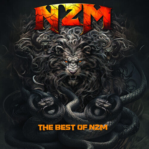 Виниловая пластинка NZM: The Best Of NZM
Виниловая пластинка NZM: The Best Of NZM