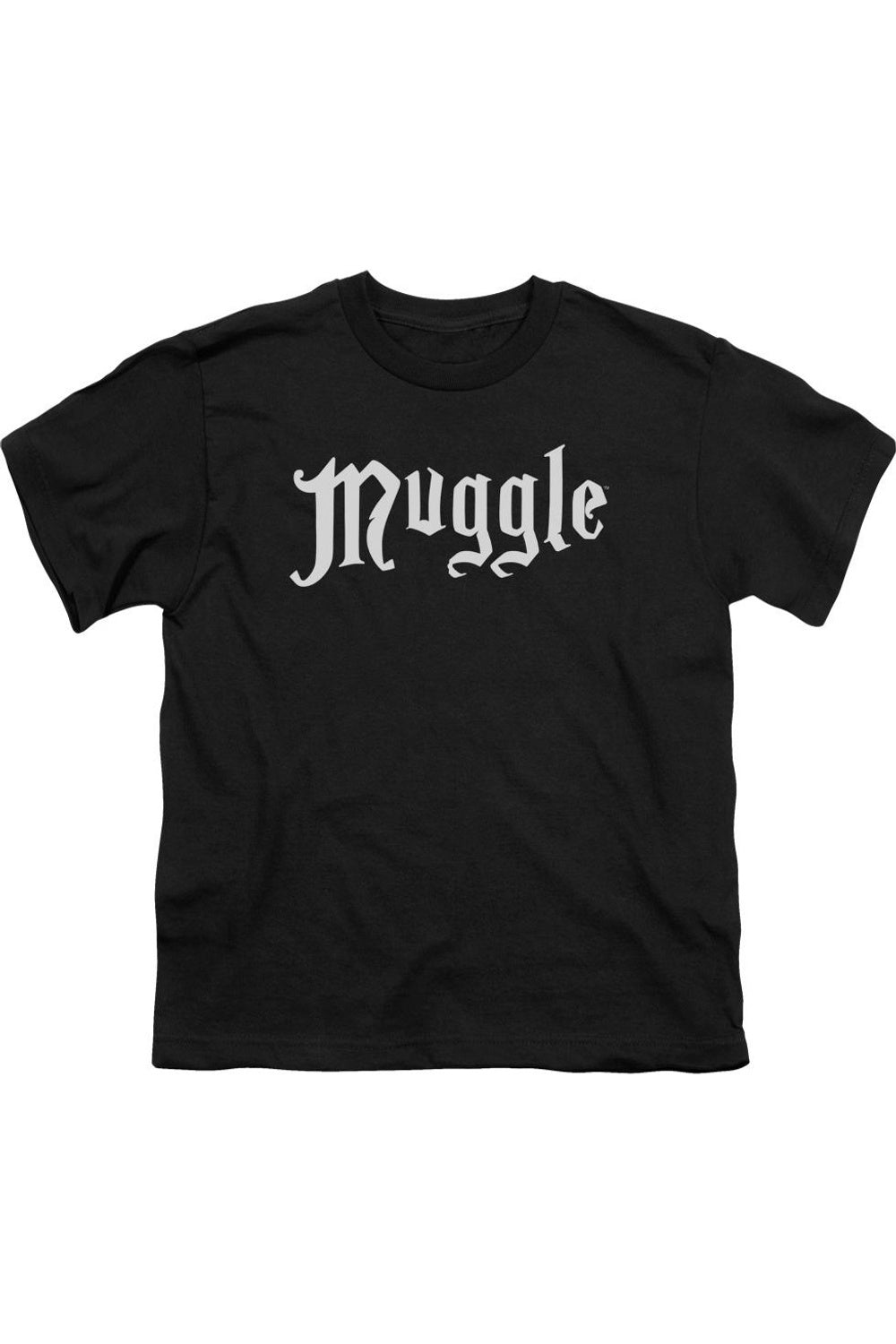 Футболка с коротким рукавом Harry Potter для магглов Gildan, черный
Футболка с коротким рукавом Harry Potter для магглов Gildan, черный