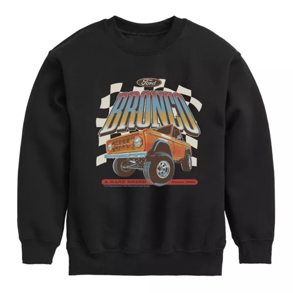 Флисовая толстовка Ford Bronco для мальчиков 8-20 лет Licensed Character, черный
Флисовая толстовка Ford Bronco для мальчиков 8-20 лет Licensed Character, черный