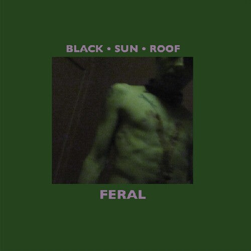 Виниловая пластинка Black Sun Roof: Feral
Виниловая пластинка Black Sun Roof: Feral