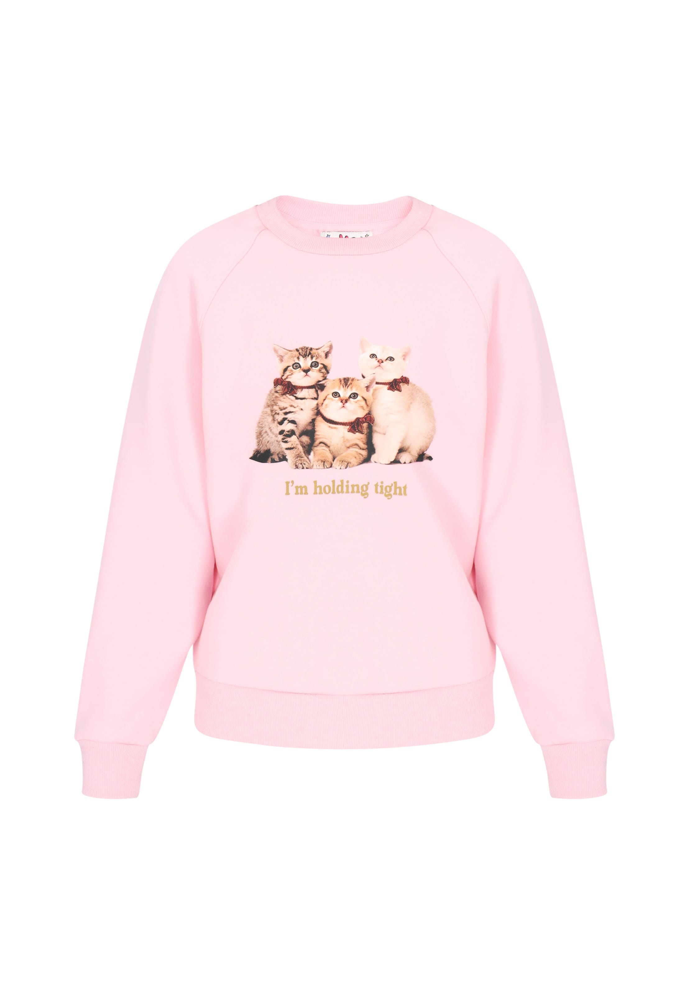 MYMO Свитшот в розовом цвете, Розовый, MYMO Свитшот в розовом цвете
MYMO Свитшот в розовом цвете, Розовый, MYMO Свитшот в розовом цвете