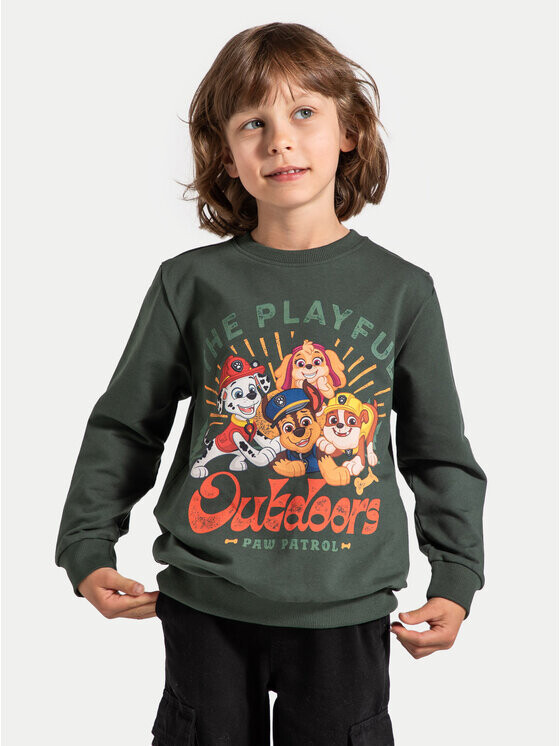 Толстовка обычного кроя Coccodrillo, зеленый
Толстовка обычного кроя Coccodrillo, зеленый