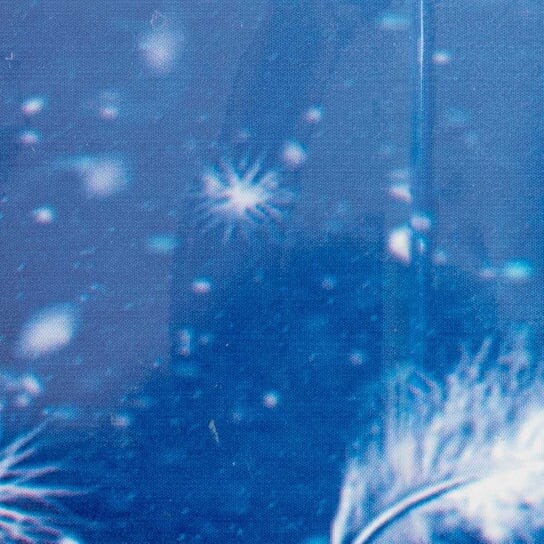 Фольга для переноса ногтей, Molly Lac
Фольга для переноса ногтей, Molly Lac