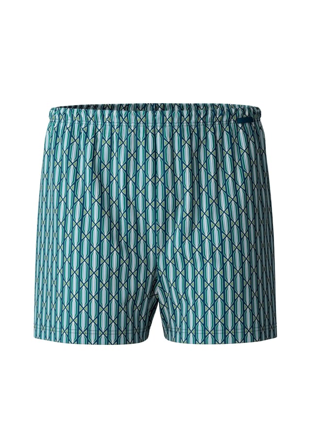 Трикотажные шорты-боксеры без принтов в виде мух Calida, синий
Трикотажные шорты-боксеры без принтов в виде мух Calida, синий