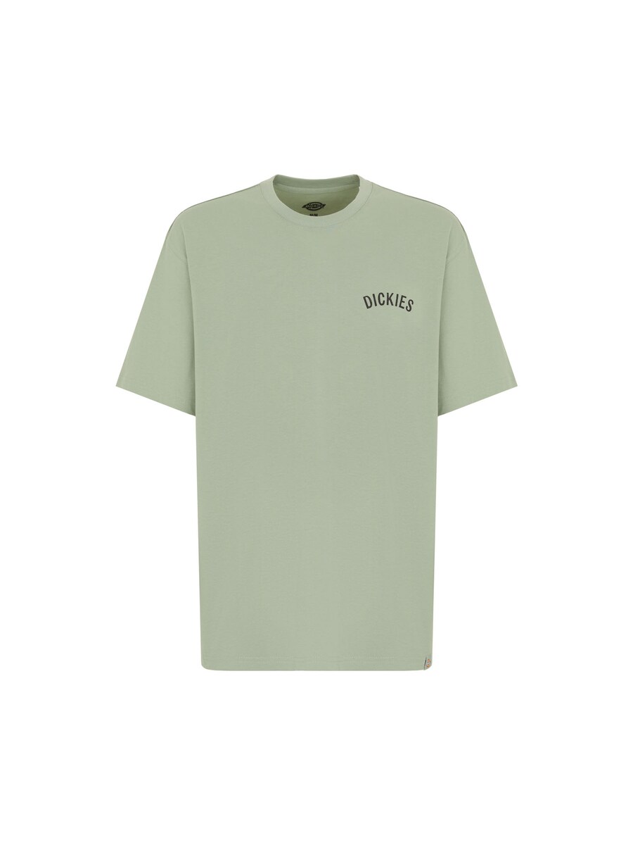 Рубашка DICKIES Snake, цвет Olive/Light green
Рубашка DICKIES Snake, цвет Olive/Light green