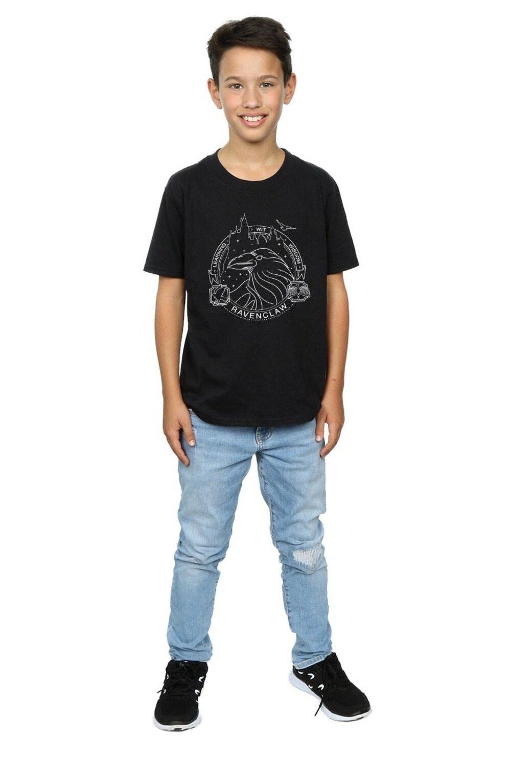 Футболка с печатью Рейвенкло Harry Potter, черный
Футболка с печатью Рейвенкло Harry Potter, черный