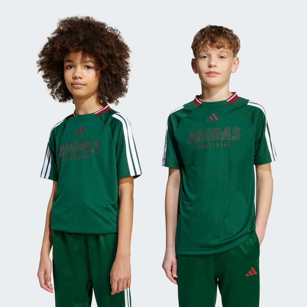 Футболка Adidas House of Tiro Tee, цвет Dark Green/White/Collegiate Burgundy 
Футболка Adidas House of Tiro Tee, цвет Dark Green/White/Collegiate Burgundy