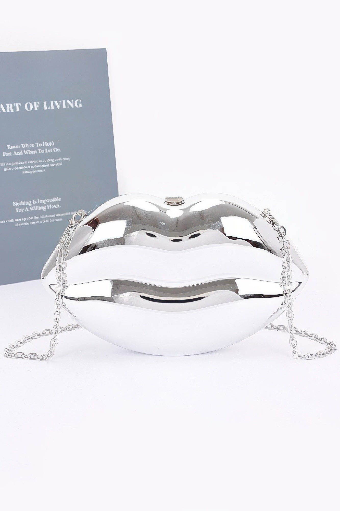 Акриловая сумка-чехол FASHNZFAB, серебряный
Акриловая сумка-чехол FASHNZFAB, серебряный