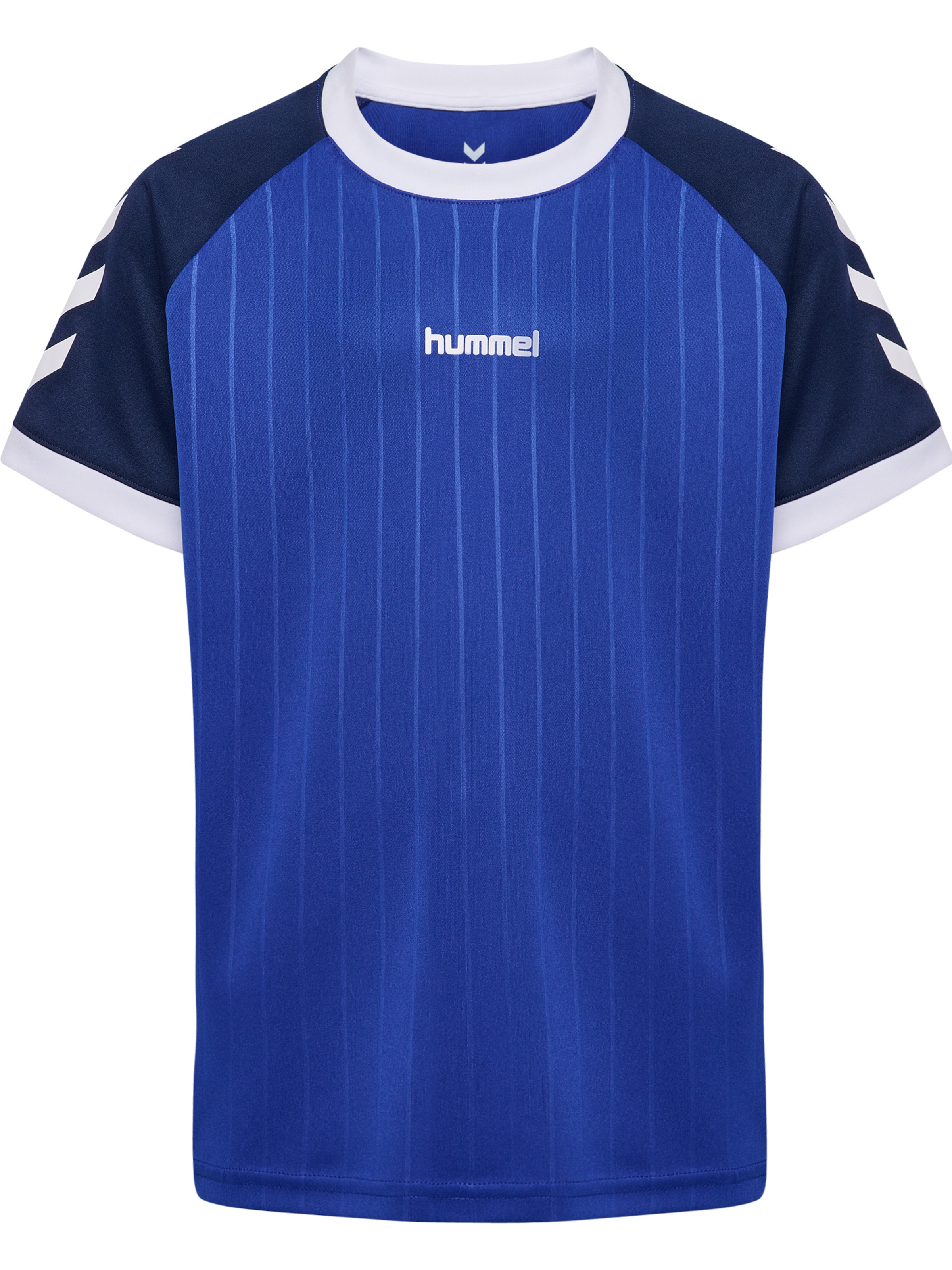 Hummel Футболка Performance в цвете Royal Blue, Dark Blue
Hummel Футболка Performance в цвете Royal Blue, Dark Blue