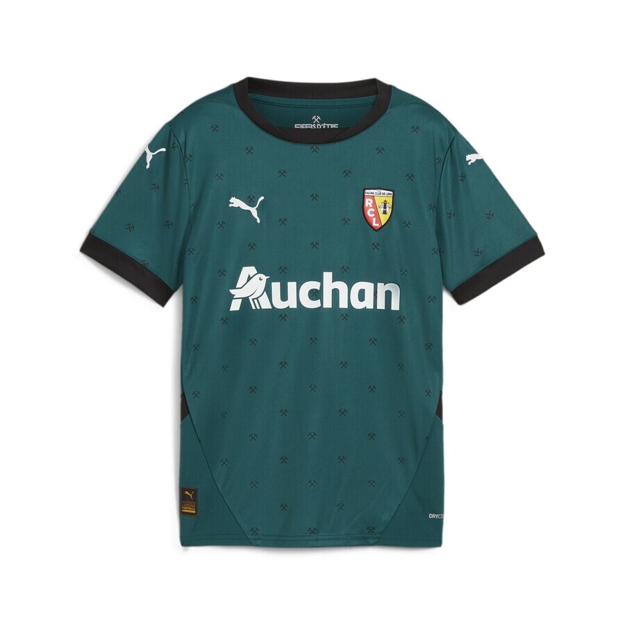 Спортивная футболка PUMA Performance RC Lens 24/25, цвет Emerald
Спортивная футболка PUMA Performance RC Lens 24/25, цвет Emerald