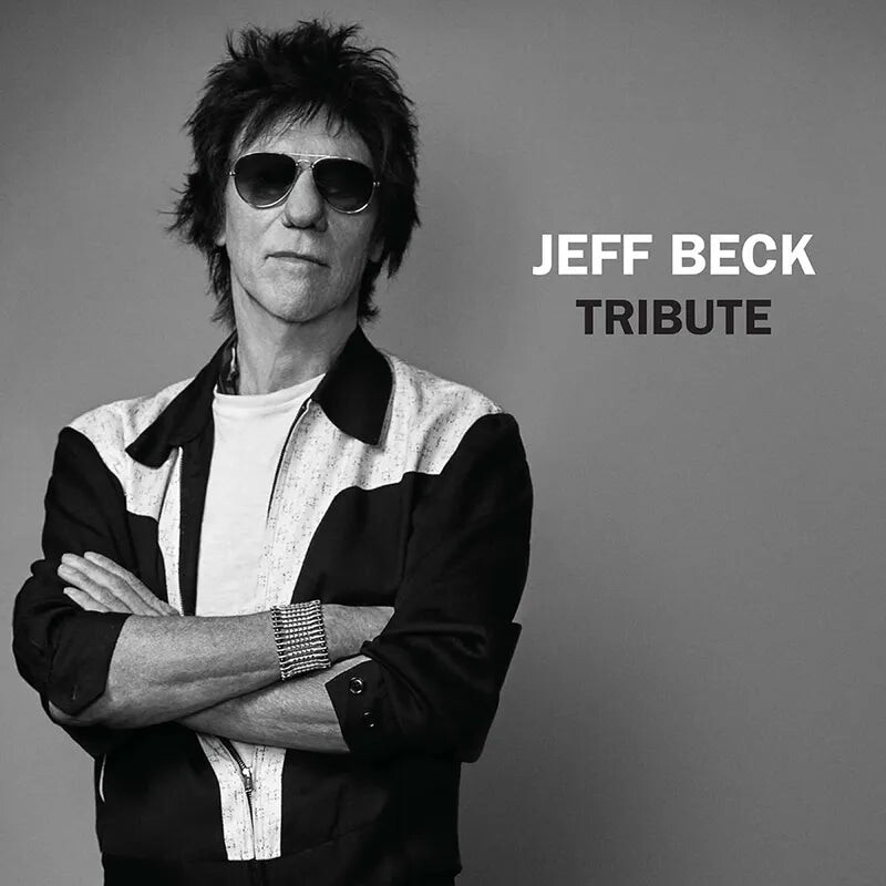 Виниловая пластинка Jeff Beck - Tribute