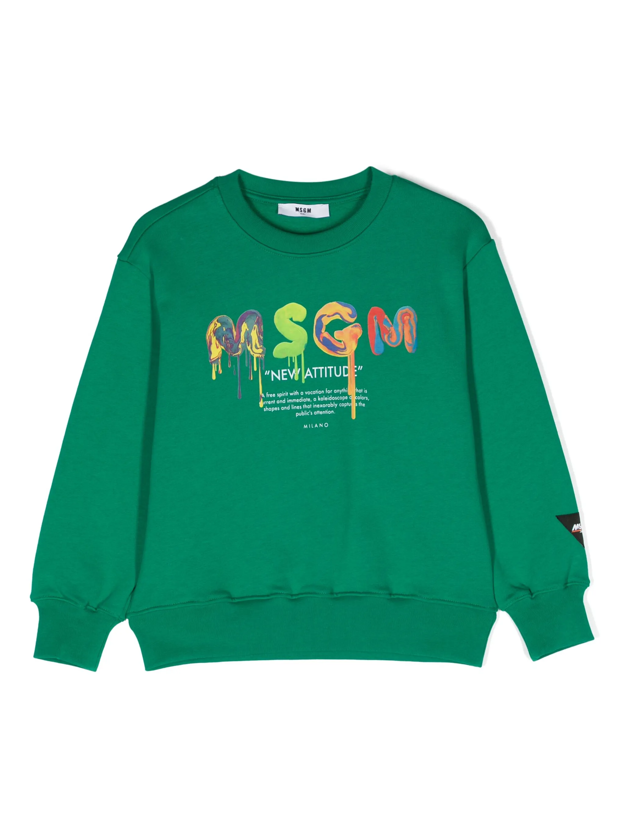 Толстовка с логотипом Msgm Kids, зеленый
Толстовка с логотипом Msgm Kids, зеленый